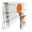 All For Paws Calming Pals Lick-A-Disc — dog using the disc on crate bars