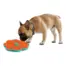 All For Paws Calming Pals Lick-A-Disc — dog using the disc on the floor
