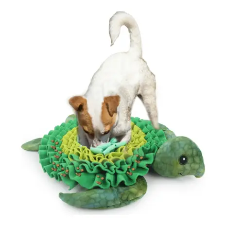 All For Paws Dig It Sea Turtle Treat Mat — dog searching the turtle mat All For Paws Dig It Sea Turtle Treat Mat — dog searching the turtle mat