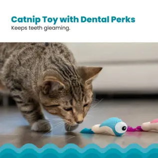 Catstages Dental Shrimpies product view 2 Catstages Dental Shrimpies product view 2