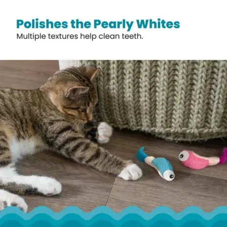 Catstages Dental Shrimpies product view 4 Catstages Dental Shrimpies product view 4