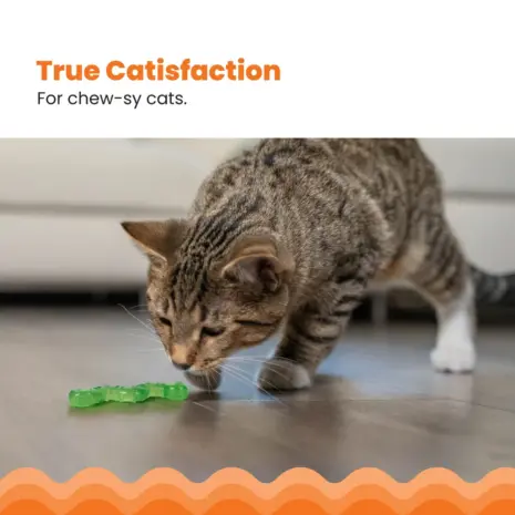 Catstages Wiggle Worm product view 3 Catstages Wiggle Worm product view 3