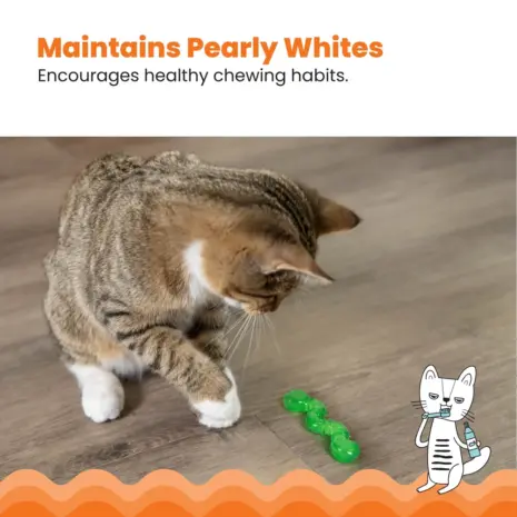 Catstages Wiggle Worm product view 4 Catstages Wiggle Worm product view 4