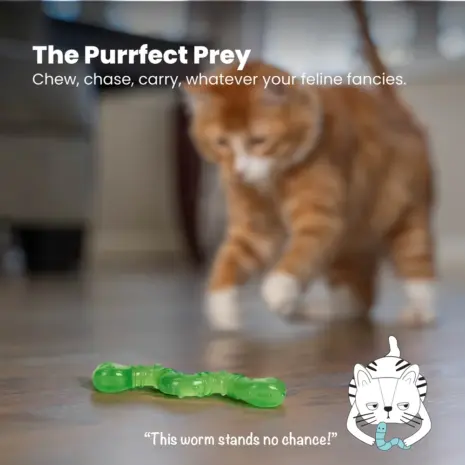 Catstages Wiggle Worm product view 5 Catstages Wiggle Worm product view 5