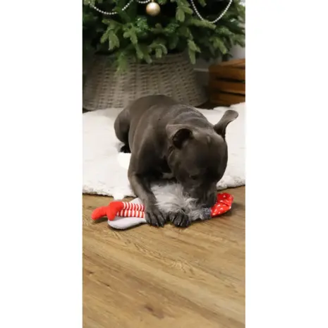 Crinkle Santa Sock product view 5 Crinkle Santa Sock product view 5