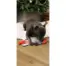 Crinkle Santa Sock product view 5