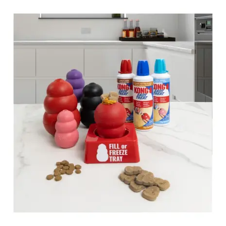 KONG Fill or Freeze Tray Single — detail 3 KONG Fill or Freeze Tray Single — detail 3