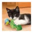KONG Flingaroo Caterpillar Cat Toy — detail 1