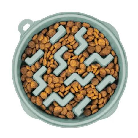 Outward Hound Fun Feeder Notch Sage Slo Bowl