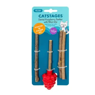 Catstages Dental Raspberry Silvervine Teether
