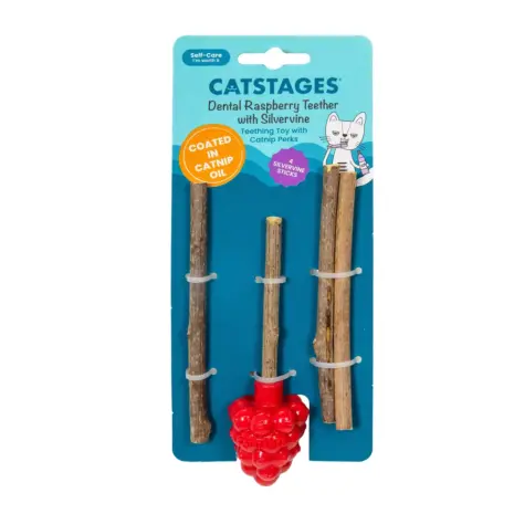 Catstages Dental Raspberry Silvervine Teether