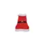 Santa Coat