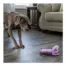 Outward Hound Bottle Bros Elephant SM product view 2