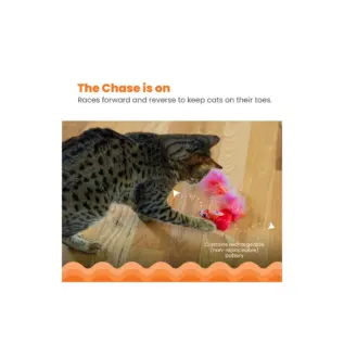 Catstages Racin’ Squirrel Robot Toy product view 2 Catstages Racin’ Squirrel Robot Toy product view 2