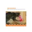 Catstages Racin’ Squirrel Robot Toy product view 2