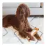 Outward Hound Stuffing-Free Fox product view 2