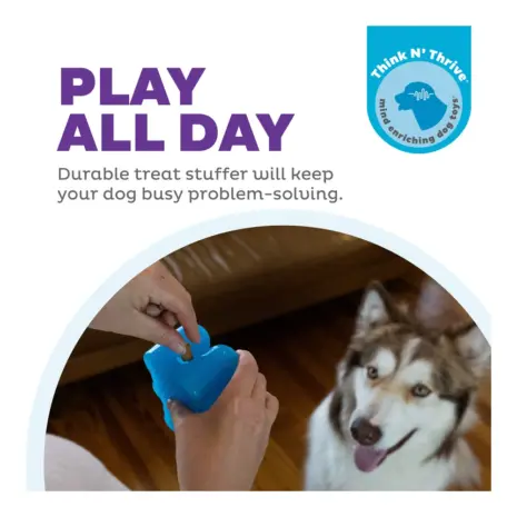 Outward Hound Gummiez Bear Blue product view 2 Outward Hound Gummiez Bear Blue product view 2
