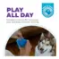 Outward Hound Gummiez Bear Blue product view 2