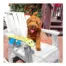 Outward Hound Fire Biterz Lizard Red MD product view 3
