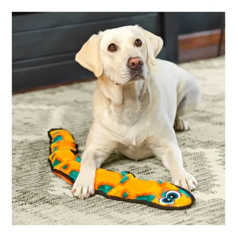 Outward Hound Durablez Snake Orange XL product view 3 Outward Hound Durablez Snake Orange XL product view 3