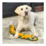 Outward Hound Durablez Snake Orange XL product view 3