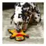 Outward Hound Durablez Gecko Orange LG product view 3