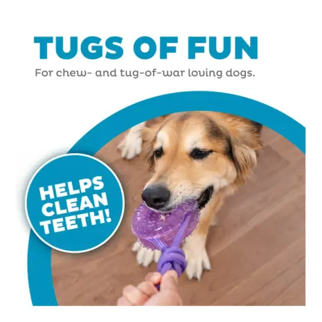 Outward Hound Dental Chew Wheel product view 3 Outward Hound Dental Chew Wheel product view 3