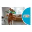 Outward Hound Big Squeak Dino MD product view 3