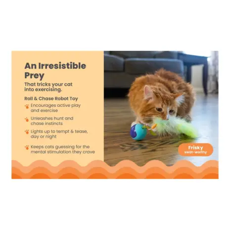 Catstages Roll & Chase Robot Toy product view 3 Catstages Roll & Chase Robot Toy product view 3