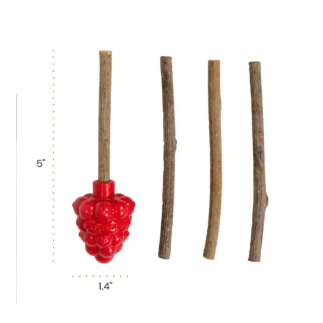 Catstages Dental Raspberry Silvervine Teether product view 3 Catstages Dental Raspberry Silvervine Teether product view 3