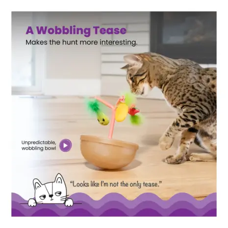 Catstages Hunt N' Wobble Fruit Bowl product view 3 Catstages Hunt N' Wobble Fruit Bowl product view 3