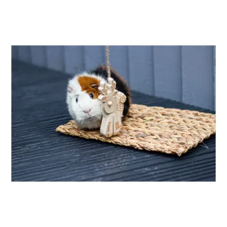 Patchwork Reindeer Gnaw product view 3 Patchwork Reindeer Gnaw product view 3