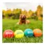 Outward Hound Squeaker Ballz LG 4pk product view 3