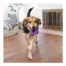 Outward Hound Dental Chew Wheel product view 4