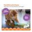 Catstages Roll & Chase Robot Toy product view 4