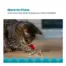 Catstages Dental Raspberry Silvervine Teether product view 4