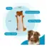 Outward Hound Stuffing-Free Fox product view 4