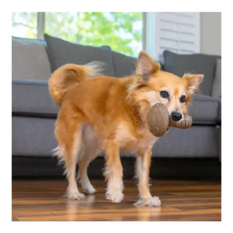 Pupstages Dogwood Mushroom Dog Chew Toy product view 4 Pupstages Dogwood Mushroom Dog Chew Toy product view 4