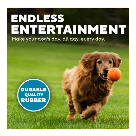 Outward Hound Squeaker Ballz LG 4pk product view 4 Outward Hound Squeaker Ballz LG 4pk product view 4