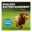 Outward Hound Squeaker Ballz LG 4pk product view 4
