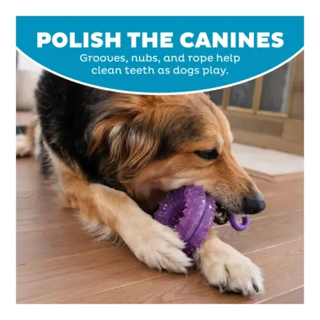 Outward Hound Dental Chew Wheel product view 5 Outward Hound Dental Chew Wheel product view 5