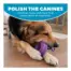 Outward Hound Dental Chew Wheel product view 5