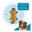 Outward Hound Durablez Gecko Orange LG product view 5