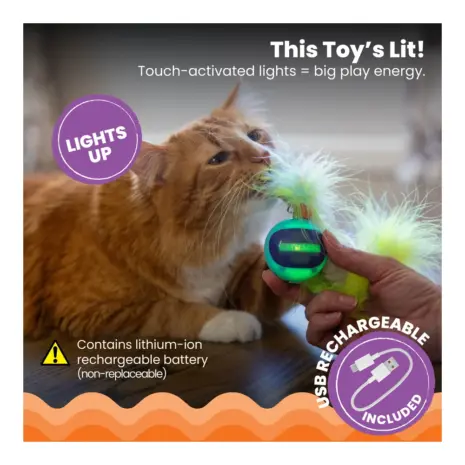 Catstages Roll & Chase Robot Toy product view 5 Catstages Roll & Chase Robot Toy product view 5