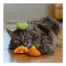 Catstages Fruit Wedges 4Pk product view 5