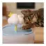 Catstages Fountain Replacement Filter 1Pk product view 5