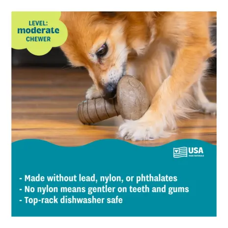 Pupstages Dogwood Mushroom Dog Chew Toy product view 5 Pupstages Dogwood Mushroom Dog Chew Toy product view 5