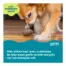 Pupstages Dogwood Mushroom Dog Chew Toy product view 5