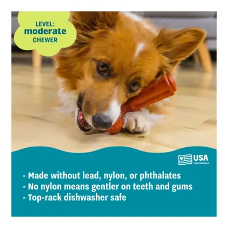 Pupstages Dogwood Hold & Chew product view 5 Pupstages Dogwood Hold & Chew product view 5