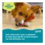 Pupstages Dogwood Hold & Chew product view 5